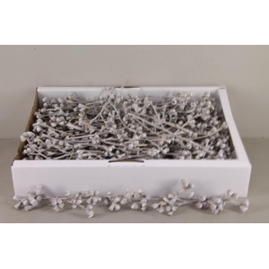 DF Conical Gum Branch WW(50p)