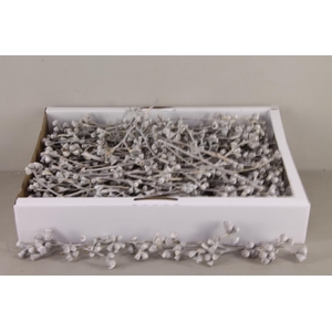 DF Conical Gum Branch WW(50p)