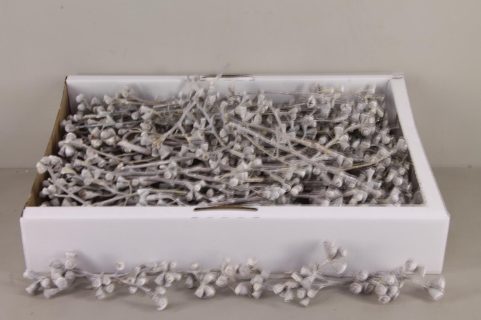 <h4>DF Conical Gum Branch WW(50p)</h4>