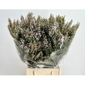 Erica White (per bunch)