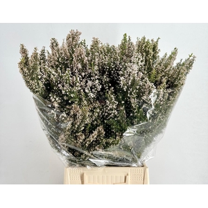 Erica White (per bunch)