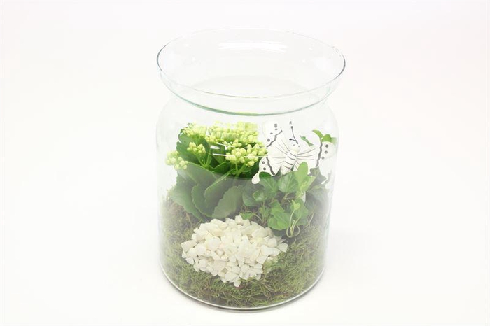 3018 SNOEPPOT RO/WIT