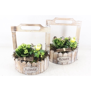 arr2 TD - Hout planter half rond - roze/wit