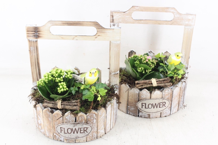 <h4>arr2 TD - Hout planter half rond - roze/wit</h4>