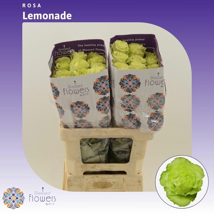 <h4>R GR LEMONADE</h4>