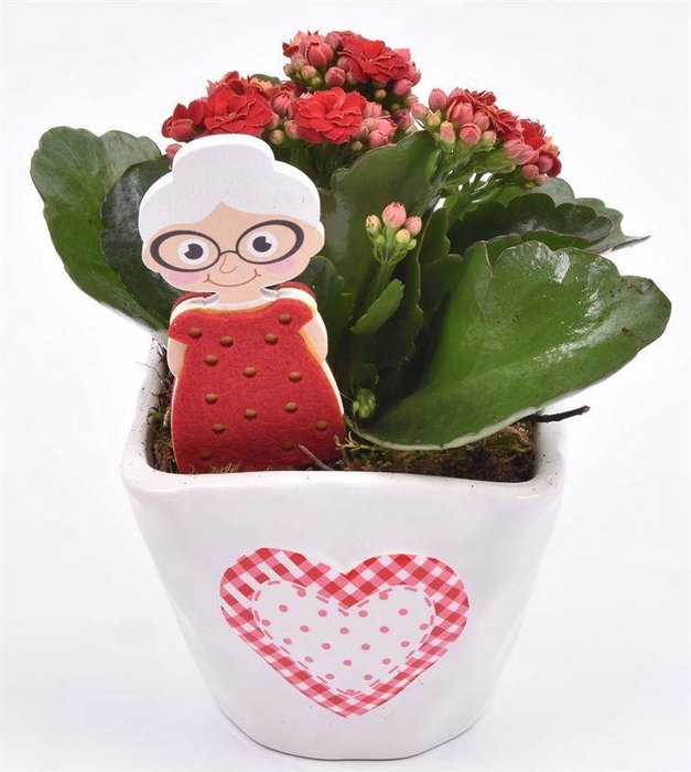 <h4>Keramiek met hart 10x10</h4>