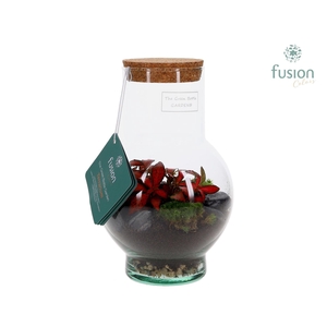 Green BottleSuzon XSmall met Terrarium arrangement