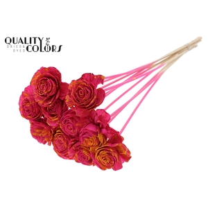 Shola Beauty Rose 6cm on stem Splashed Cerise/Yellow