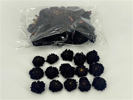 DRIED DAHLIA HEADS BLACK BAG (50-60