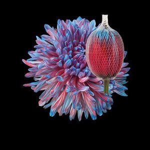 Chr G Antonov Bazooka