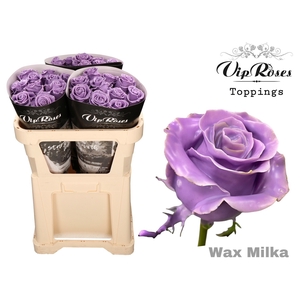 R GR WAX MILKA x30 998