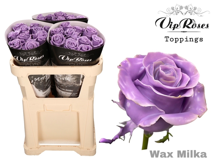 <h4>R Gr Vip Wax Milka X30</h4>