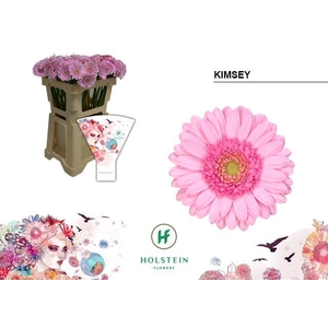 Germini Kimsey Water