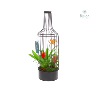 Metaal fles zwart Large met Bromelia