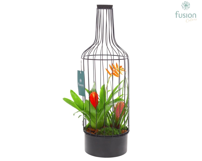 <h4>Metaal fles zwart Large met Bromelia</h4>
