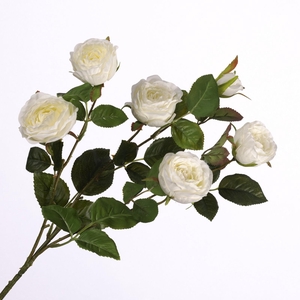 Rosa Spray Cream FL440243CRM