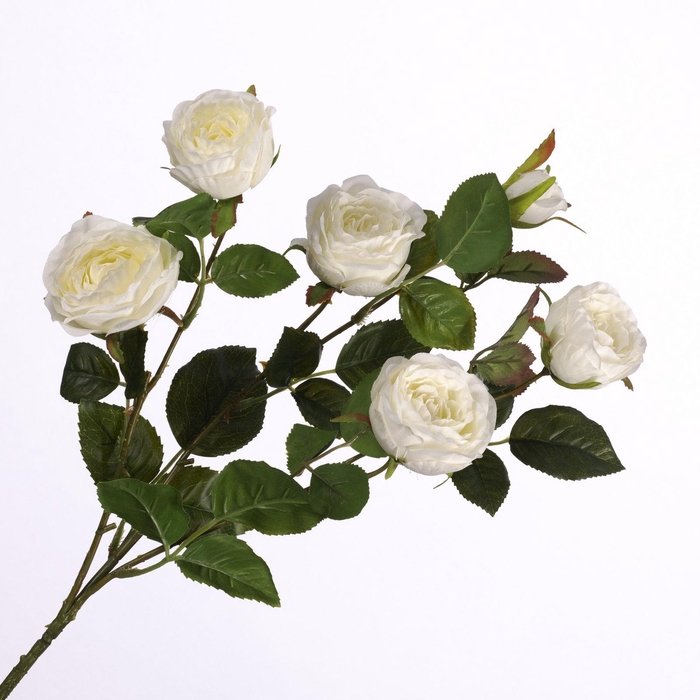 <h4>Rosa Spray Cream FL440243CRM</h4>