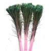 Feather Peacock L90/100 10pc/Bnd
