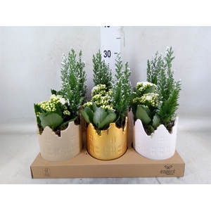 Arr.    Planten  L%