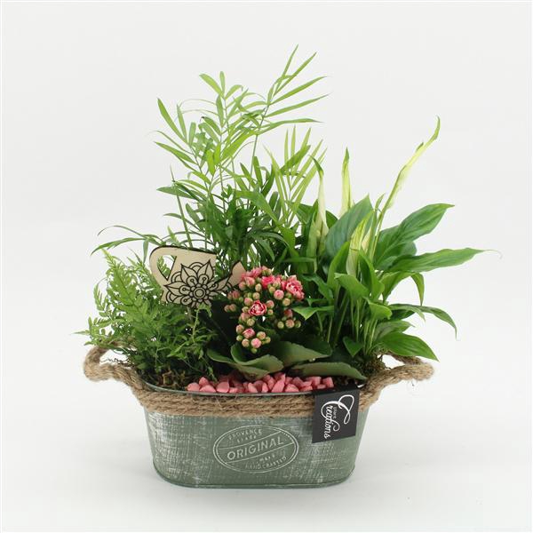 <h4>ESCR-2518RZ Essentials</h4>