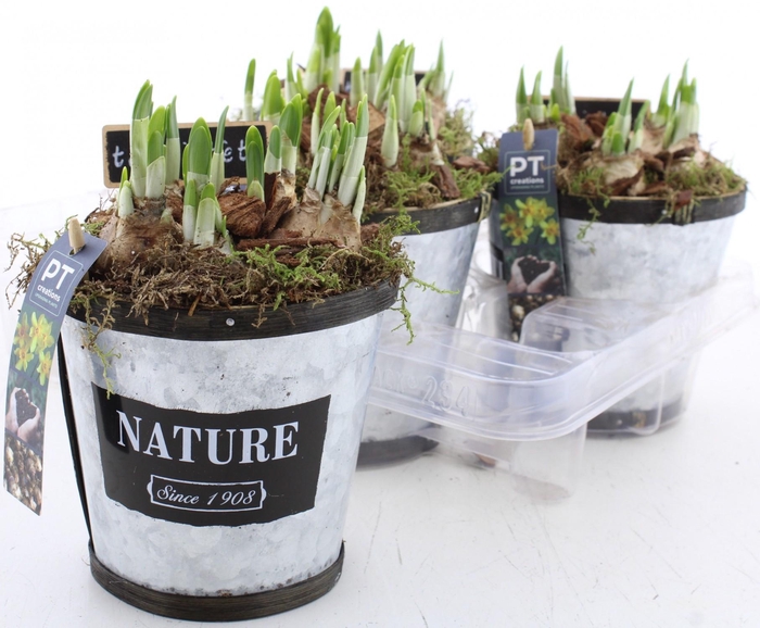 <h4>ARR N TETE A TETE</h4>