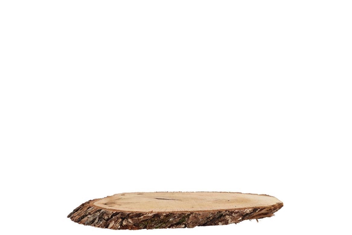 Nature Oak Slice Oval D6-9cm / L10-15cm X 2cm Nm
