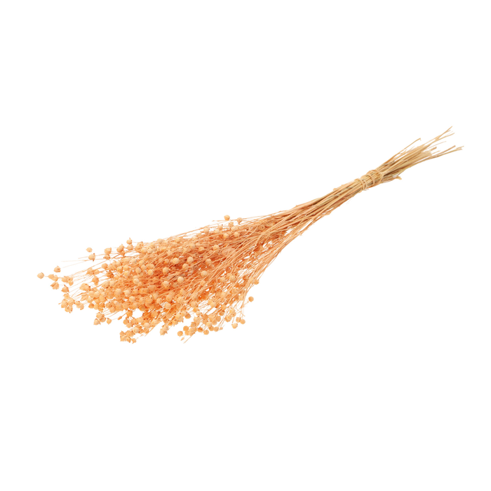 <h4>Linum Coral Misty</h4>