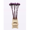 ALLIUM SUMMER DRUMME