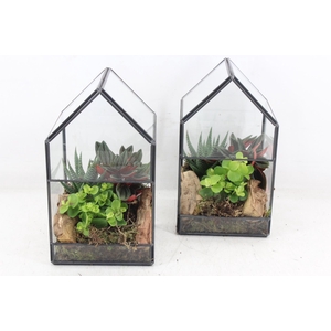 arr3 SN - Glazen huis industrial L x6