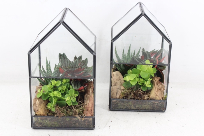 <h4>arr3 SN - Glazen huis industrial L x6</h4>