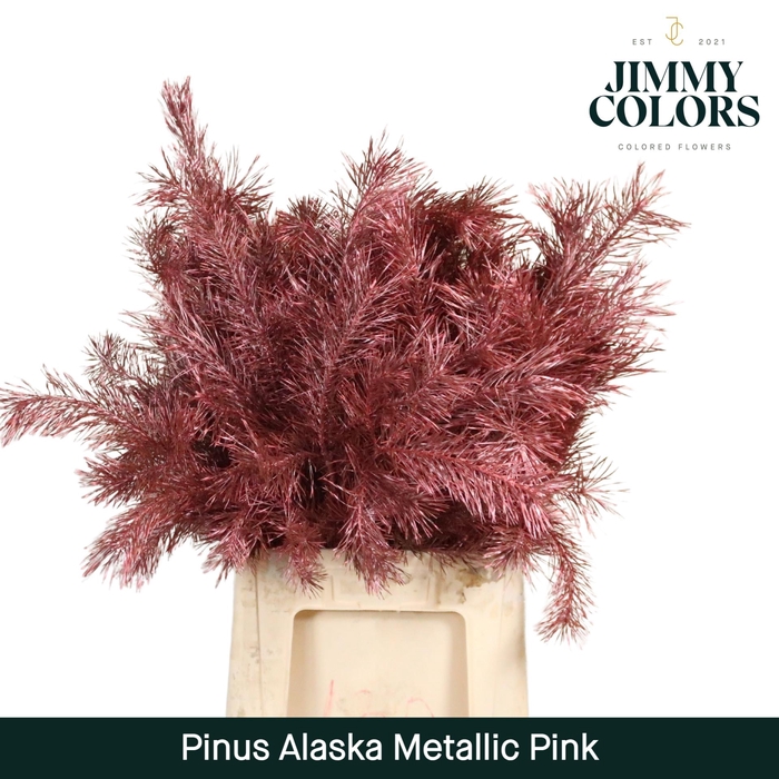 <h4>Pinus Alaska 60 Metallic Pink</h4>