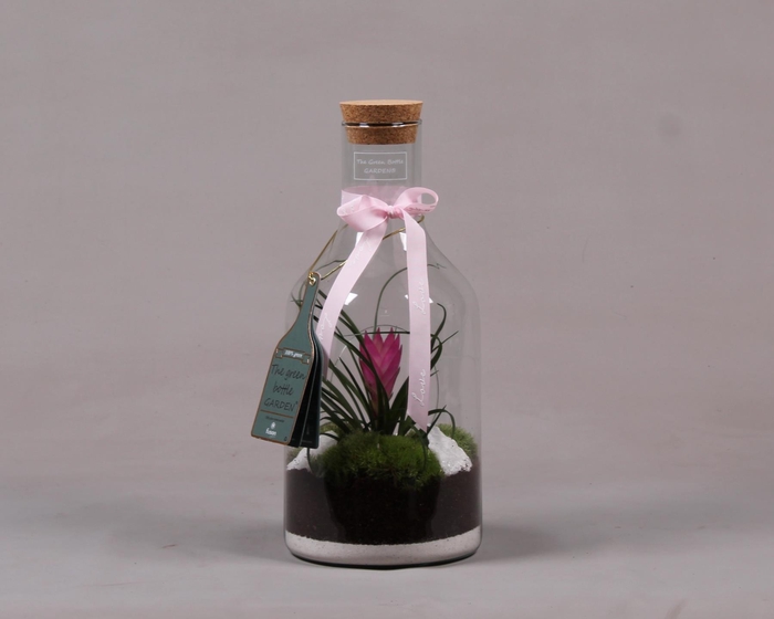 <h4>Green Bottle Fles Small met Tillandsia love</h4>