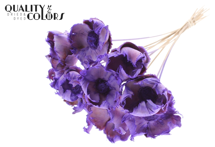 Palm cup on stem Bleached  Frosted Milka