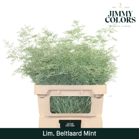 <h4>Lim Bel L90 Mint</h4>