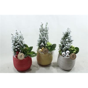 1353 Ker Ribbel Boom Mix