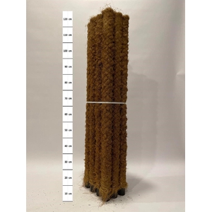 Mosstok 120 cm 12 stuks per bundel
