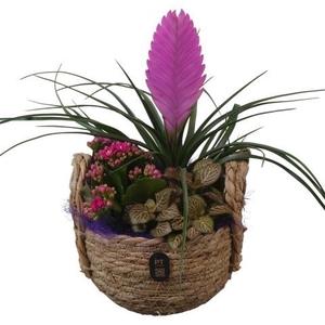 PTIB5235 Arrangement Indoor in rieten mand