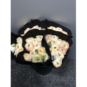 Ran Suc Crema 509 Sup