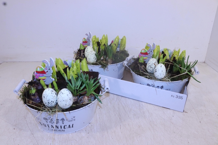 <h4>ARR BOL KNOLGEWAS</h4>