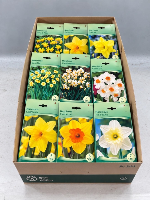 <h4>BLOEMBOL NARCIS</h4>