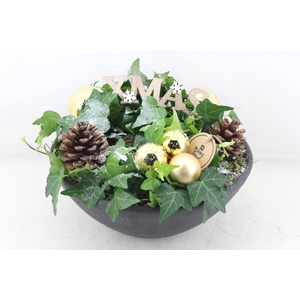 arr2 PL - Ker. ebbi. hedera goud