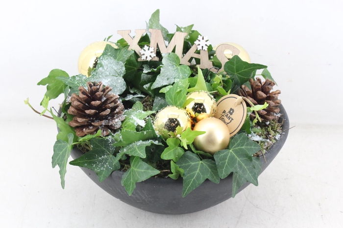 <h4>arr2 PL - Ker. ebbi. hedera goud</h4>