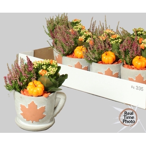 ARR TUINPLANTEN