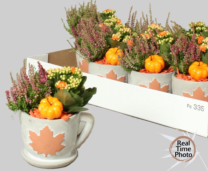 <h4>ARR TUINPLANTEN</h4>