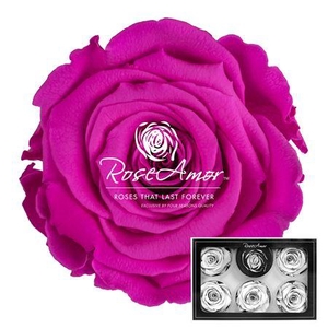 Xl Pin07