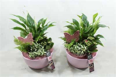<h4>6319 ROZE KER SPATH</h4>