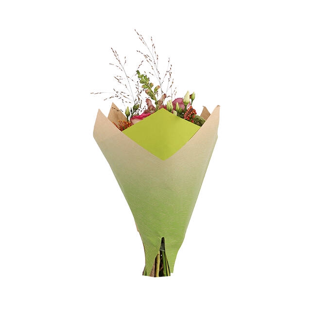 <h4>Housses 52x35x10cm OPP40 Kraftline rose</h4>