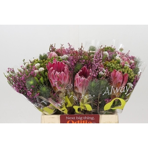 BQ Kaaps Groen Rivermix