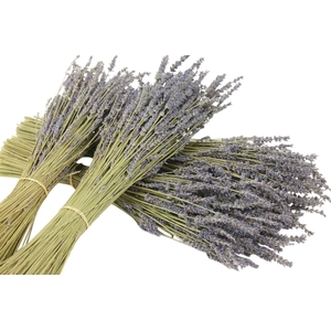 Bunch Lavendel 100g L40 Sleeved