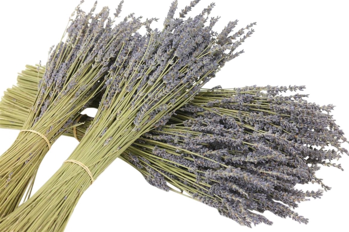 <h4>Bunch Lavendel 100g L40</h4>